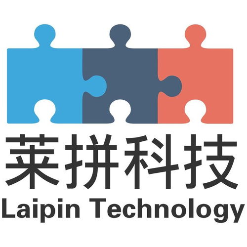 南京萊拼網絡科技與拼奔科技 雙星閃耀，共繪數字經濟新圖景